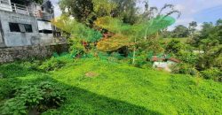 DIJUAL CEPAT TANAH CANTIK DAN MENARIK DAERAH TOMOHON, HARGA SANGAT MURAH