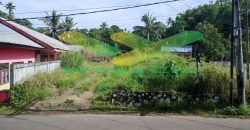 DIJUAL CEPAT TANAH MENARIK DAN STRATEGIS DAERAH TUMINTING, HARGA SANGAT MURAH