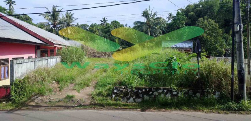 DIJUAL CEPAT TANAH MENARIK DAN STRATEGIS DAERAH TUMINTING, HARGA SANGAT MURAH