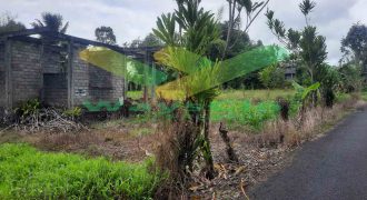 DIJUAL CEPAT TANAH CANTIK DAN MENARIK DAERAH TOMOHON, HARGA SANGAT MURAH