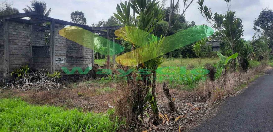 DIJUAL CEPAT TANAH CANTIK DAN MENARIK DAERAH TOMOHON, HARGA SANGAT MURAH