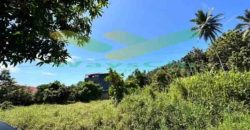 DIJUAL CEPAT TANAH CANTIK DAN MENARIK DAERAH MALALAYANG, HARGA SANGAT MURAH