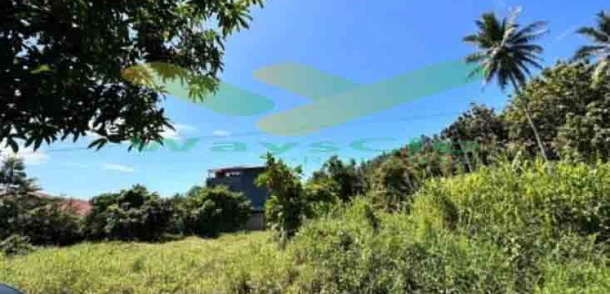 DIJUAL CEPAT TANAH CANTIK DAN MENARIK DAERAH MALALAYANG, HARGA SANGAT MURAH