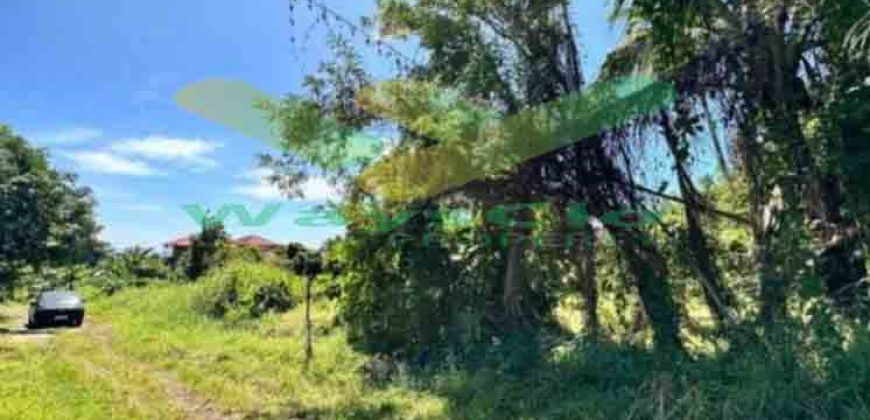 DIJUAL CEPAT TANAH CANTIK DAN MENARIK DAERAH MALALAYANG, HARGA SANGAT MURAH