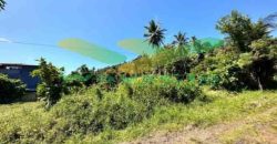 DIJUAL CEPAT TANAH CANTIK DAN MENARIK DAERAH MALALAYANG, HARGA SANGAT MURAH