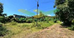 DIJUAL CEPAT TANAH CANTIK DAN MENARIK DAERAH MALALAYANG, HARGA SANGAT MURAH