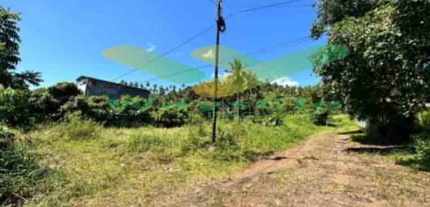 DIJUAL CEPAT TANAH CANTIK DAN MENARIK DAERAH MALALAYANG, HARGA SANGAT MURAH