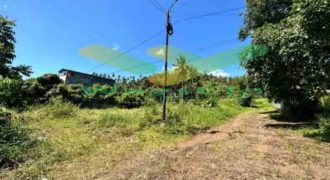 DIJUAL CEPAT TANAH CANTIK DAN MENARIK DAERAH MALALAYANG, HARGA SANGAT MURAH