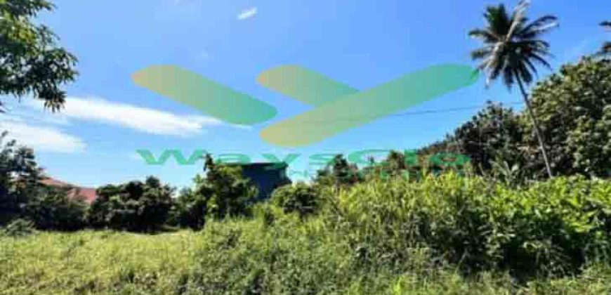 DIJUAL CEPAT TANAH CANTIK DAN MENARIK DAERAH MALALAYANG, HARGA SANGAT MURAH