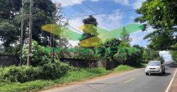 DIJUAL CEPAT TANAH MENARIK DAN STRATEGIS DAERAH TATELI, HARGA SANGAT MURAH