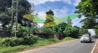 DIJUAL CEPAT TANAH MENARIK DAN STRATEGIS DAERAH TATELI, HARGA SANGAT MURAH
