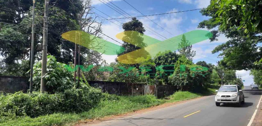 DIJUAL CEPAT TANAH MENARIK DAN STRATEGIS DAERAH TATELI, HARGA SANGAT MURAH