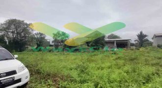DIJUAL CEPAT TANAH CANTIK DAN MENARIK DAERAH TOMOHON, HARGA SANGAT MURAH