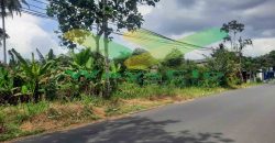 DIJUAL CEPAT TANAH MENARIK DAN STRATEGIS DAERAH MAPANGET, HARGA SANGAT MURAH