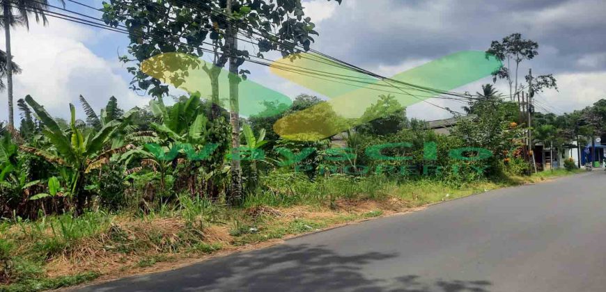 DIJUAL CEPAT TANAH MENARIK DAN STRATEGIS DAERAH MAPANGET, HARGA SANGAT MURAH
