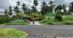 DIJUAL CEPAT TANAH MENARIK DAN STRATEGIS DAERAH MAPANGET, HARGA SANGAT  MURAH