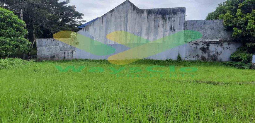 DIJUAL CEPAT TANAH CANTIK DAN MENARIK DAERAH CITRALAND, HARGA SANGAT MURAH
