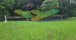 DIJUAL CEPAT TANAH CANTIK DAN MENARIK DAERAH CITRALAND, HARGA SANGAT MURAH