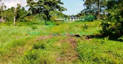 DIJUAL CEPAT TANAH MENARIK DAN STRATEGIS DAERAH SAWANGAN, HARGA SANGAT MURAH