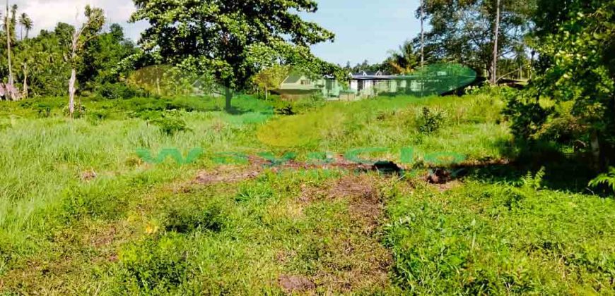 DIJUAL CEPAT TANAH MENARIK DAN STRATEGIS DAERAH SAWANGAN, HARGA SANGAT MURAH