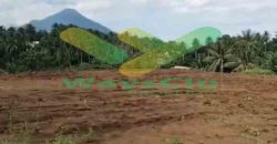 DIJUAL CEPAT TANAH MENARIK DAN STRATEGIS DAERAH SAWANGAN, HARGA SANGAT MURAH