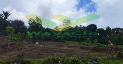DIJUAL CEPAT TANAH CANTIK DAN MENARIK DAERAH TOMOHON, HARGA SANGAT MURAH