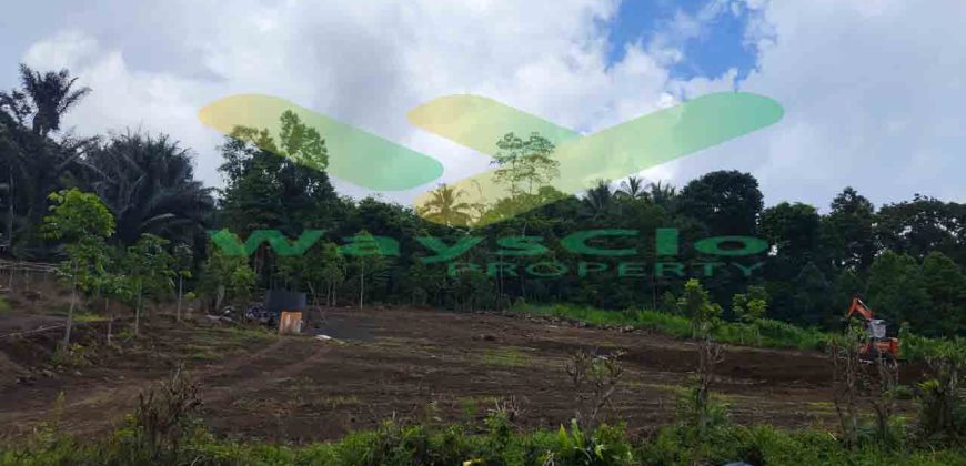 DIJUAL CEPAT TANAH CANTIK DAN MENARIK DAERAH TOMOHON, HARGA SANGAT MURAH