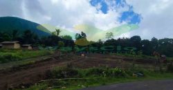 DIJUAL CEPAT TANAH CANTIK DAN MENARIK DAERAH TOMOHON, HARGA SANGAT MURAH