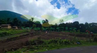 DIJUAL CEPAT TANAH CANTIK DAN MENARIK DAERAH TOMOHON, HARGA SANGAT MURAH