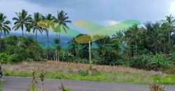 DIJUAL CEPAT TANAH CANTIK DAN MENARIK DAERAH TOMOHON, HARGA SANGAT MURAH