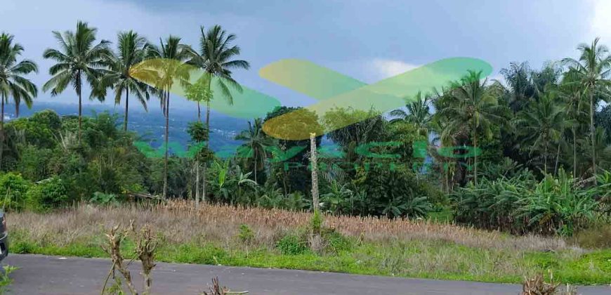 DIJUAL CEPAT TANAH CANTIK DAN MENARIK DAERAH TOMOHON, HARGA SANGAT MURAH