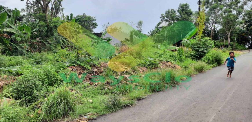 DIJUAL CEPAT TANAH CANTIK DAN MENARIK DAERAH MALALAYANG, HARGA SANGAT MURAH