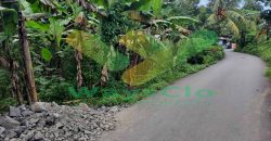 DIJUAL CEPAT TANAH CANTIK DAN MENARIK DAERAH MALALAYANG, HARGA SANGAT MURAH