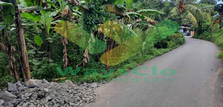 DIJUAL CEPAT TANAH CANTIK DAN MENARIK DAERAH MALALAYANG, HARGA SANGAT MURAH