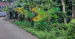DIJUAL CEPAT TANAH CANTIK DAN MENARIK DAERAH MALALAYANG, HARGA SANGAT MURAH