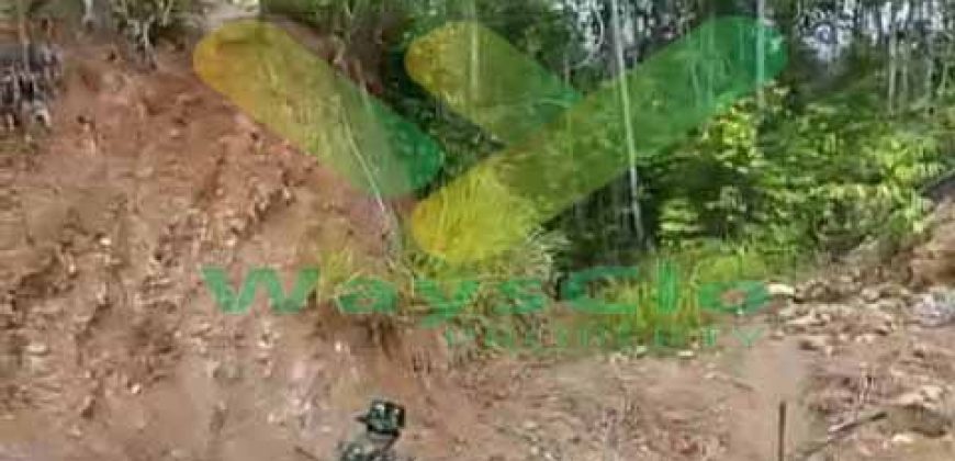 DIJUAL CEPAT TANAH MENARIK DAERAH RATATOTOK, HARGA SANGAT MURAH
