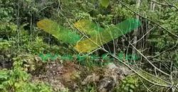 DIJUAL CEPAT TANAH MENARIK DAERAH RATATOTOK, HARGA SANGAT MURAH