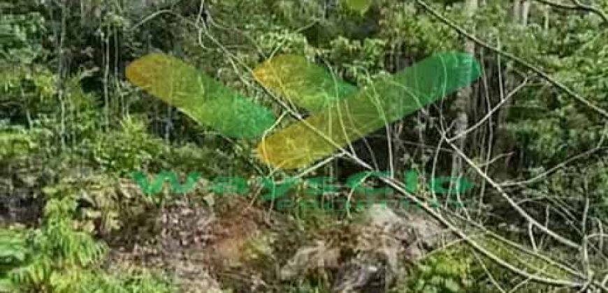 DIJUAL CEPAT TANAH MENARIK DAERAH RATATOTOK, HARGA SANGAT MURAH