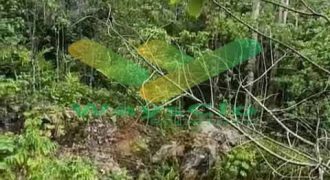 DIJUAL CEPAT TANAH MENARIK DAERAH RATATOTOK, HARGA SANGAT MURAH