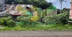 DIJUAL CEPAT TANAH MURAH DAERAH TELING, HARGA DI BAWAH PASARAN
