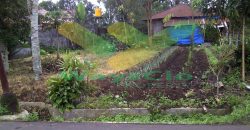 DIJUAL CEPAT TANAH CANTIK DAN MENARIK DAERAH TOMOHON, HARGA SANGAT MURAH