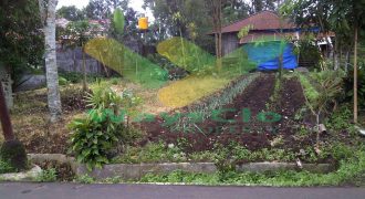 DIJUAL CEPAT TANAH CANTIK DAN MENARIK DAERAH TOMOHON, HARGA SANGAT MURAH