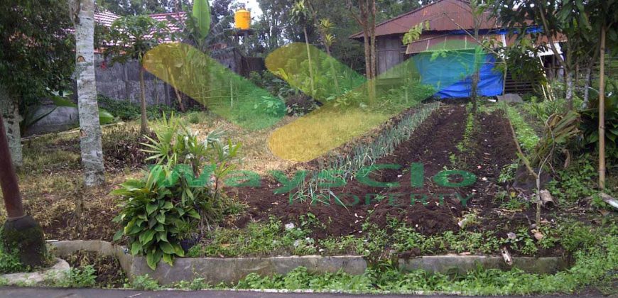 DIJUAL CEPAT TANAH CANTIK DAN MENARIK DAERAH TOMOHON, HARGA SANGAT MURAH