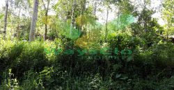 DIUAL CEPAT TANAH CANTIK DAN MENARIK DAERAH TOMOHON, HARGA SANGAT MURAH