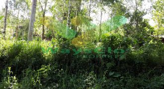 DIUAL CEPAT TANAH CANTIK DAN MENARIK DAERAH TOMOHON, HARGA SANGAT MURAH