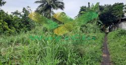 DIJUAL CEPAT TANAH SANGAT STRATEGIS DAERAH KAUDITAN, HARGA SANGAT MURAH
