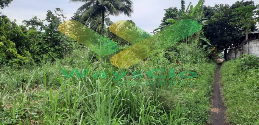 DIJUAL CEPAT TANAH SANGAT STRATEGIS DAERAH KAUDITAN, HARGA SANGAT MURAH