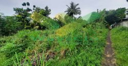 DIJUAL CEPAT TANAH SANGAT STRATEGIS DAERAH KAUDITAN, HARGA SANGAT MURAH