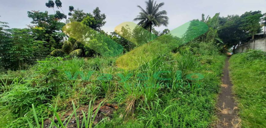 DIJUAL CEPAT TANAH SANGAT STRATEGIS DAERAH KAUDITAN, HARGA SANGAT MURAH