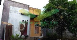 DIJUAL CEPAT RUMAH MENARIK DAERAH KALAWAT, HARGA SANGAT MURAH